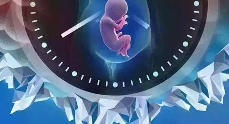 冷冻胚胎影响试管婴儿成功率吗？哪些人群适合进行冻胚移植呢？