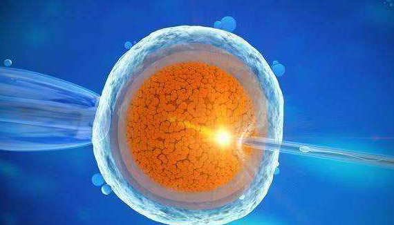 俄罗斯试管婴儿：干细胞于男性前列腺的作用