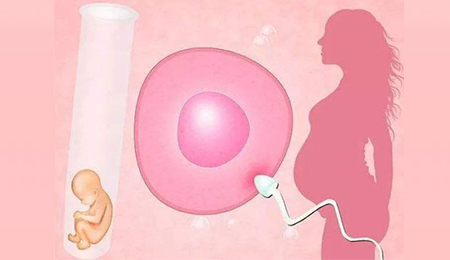 俄罗斯第三代试管婴儿选择移植囊胚有什么优势？