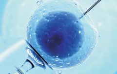 试管婴儿移植多个胚胎是不是就能成功？