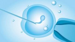 做试管婴儿时卵泡要达到什么条件？