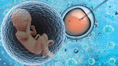 精子质量会影响试管婴儿吗？