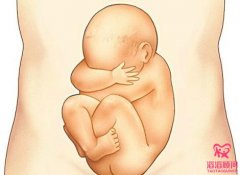 子宫长度也会影响试管婴儿成功率吗？