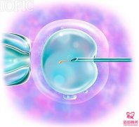 试管婴儿胚胎需要培育多久才能完成？
