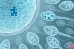 试管婴儿鲜胚成功率高还是冻胚高？