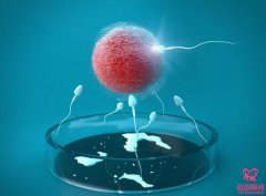 明明来了又走了，胚胎停育究竟是什么原因？
