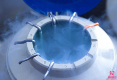 胚胎程序解冻技术解析