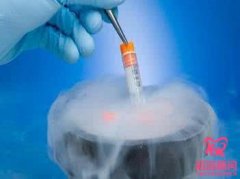 试管婴儿囊胚移植和冻胚移植区别在哪里？