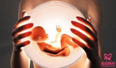 试管婴儿人绒毛膜促性腺激素多少是怀孕？