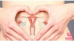 卵巢切除能否做试管婴儿？