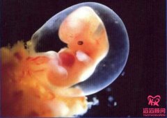 如何保证试管婴儿单胎妊娠？