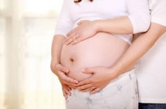 试管婴儿囊胚和冻胚的区别是哪些？