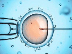 俄罗斯试管婴儿卵子冷冻卵子技术