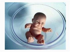 冷冻胚胎技术对试管婴儿的影响多大？