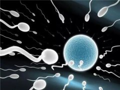 试管婴儿备孕期间男性需要注意什么？
