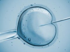 俄罗斯试管婴儿：囊胚移植和普通胚胎的区别