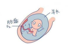 试管婴儿孕期羊水过多的危害有哪些？该怎么办？