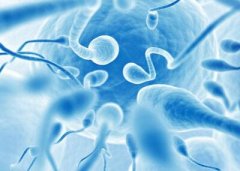精子DNA碎片会影响试管婴儿成功率吗