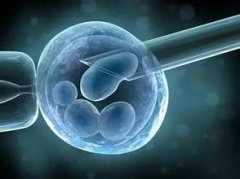 做试管婴儿卵泡数、获卵数、胚胎数是什么关系