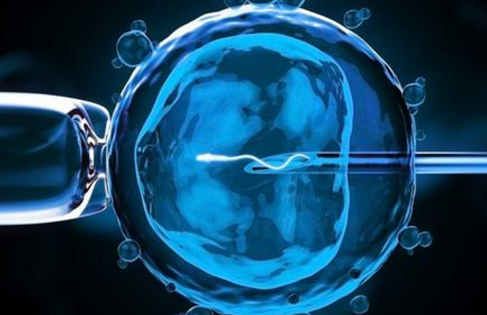 什么是胚胎分割移植