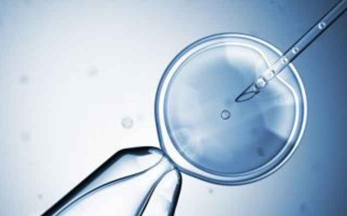 胚胎移植技术
