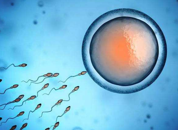 哪些生活因素和生理因素会影响精子活力
