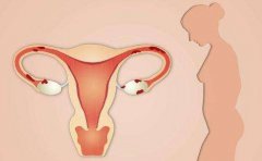 试管婴儿促排卵药物的使用会引起卵巢早衰吗？