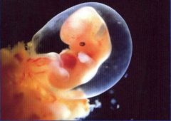 试管婴儿胚胎移植之前内膜厚怎么办？