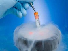 试管婴儿胚胎冷冻技术以及优势？