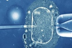 试管婴儿胚胎移植后有哪些生活注意细节？