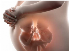 试管婴儿怀上双胞胎注意事项有哪些？