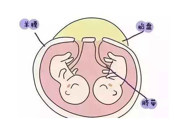 俄罗斯试管婴儿