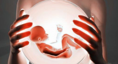 试管婴儿hcg低是胚胎质量不好吗