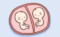 试管婴儿导致卵巢癌