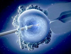 试管婴儿胚胎移植后吃蛋白粉：营养补充的考量