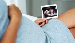 试管婴儿移植：子宫内膜环境的重要性
