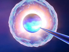 试管婴儿放一个胚胎成功率：权衡风险与机会