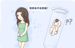 能自然怀孕可以做试管婴儿吗