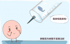第三代试管婴儿成功率高吗