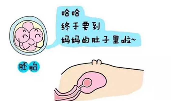 试管婴儿
